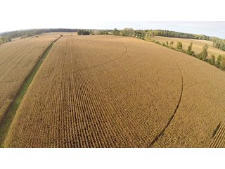 Property photo 10 - Southern Michigan Land Auction - 2 Auctions in 1 - 229+/- Acres and 66+/- Acres
